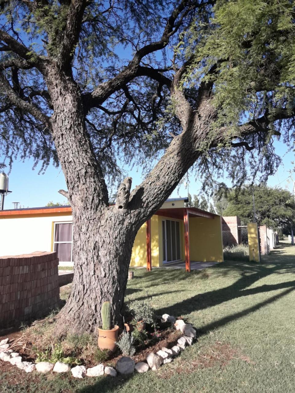 Apartamento Departamento Teodelina Quehue Exterior foto